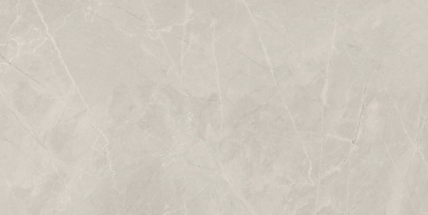 BAYONA SILVER NATURAL RECT 60X120