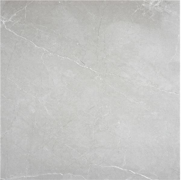 MARBLE ART GREY 100X100 RECT