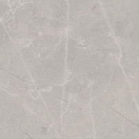 BAYONA SILVER NATURAL 120X120MM 