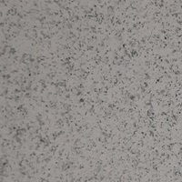 GRANIT WHITE 60X90 ESP 20MM R11