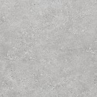 FLAX GREY 120X120 NAT RECT R10