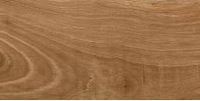 TASMANIA TEAK MATE R9 20X120 RECT
