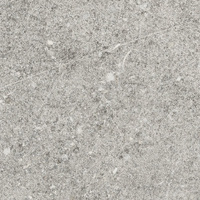 DOME ASH R10 RECT 30X60