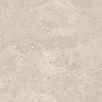 STREET BONE RECT 60X120 R10 PTV+36